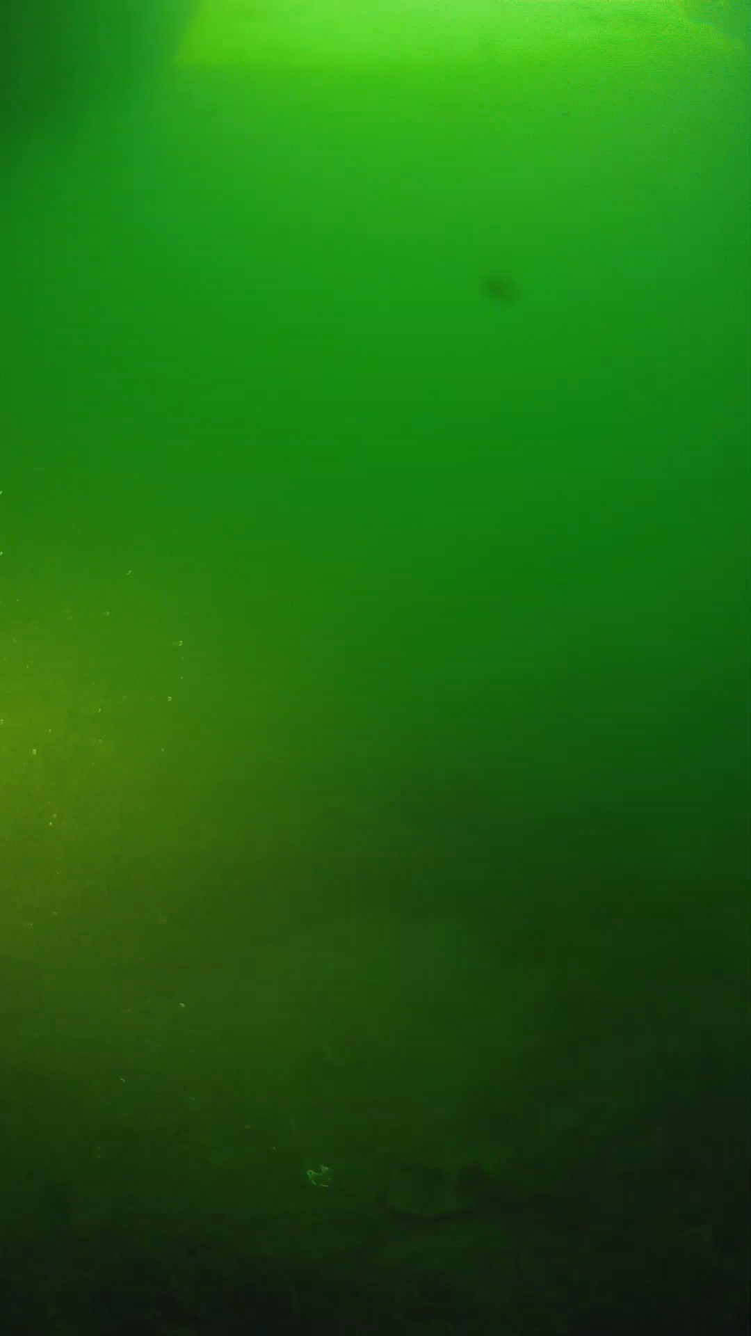lander_ipcam_20250606061659.png