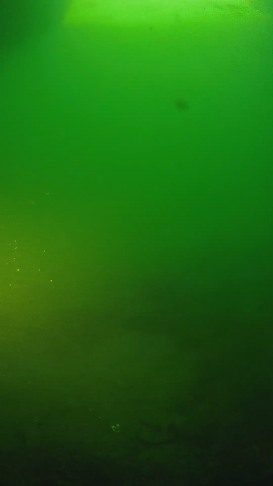 lander_ipcam_20250606061701.png