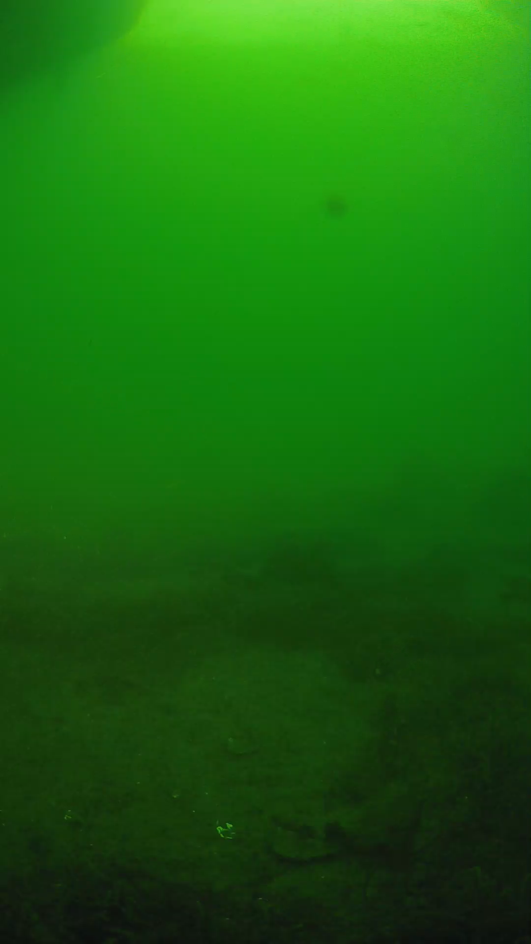 lander_ipcam_20250606064626.png