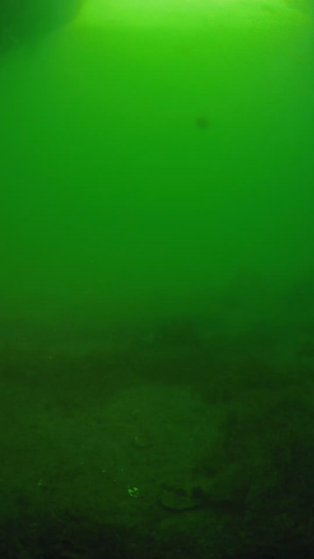 lander_ipcam_20250606064628.png
