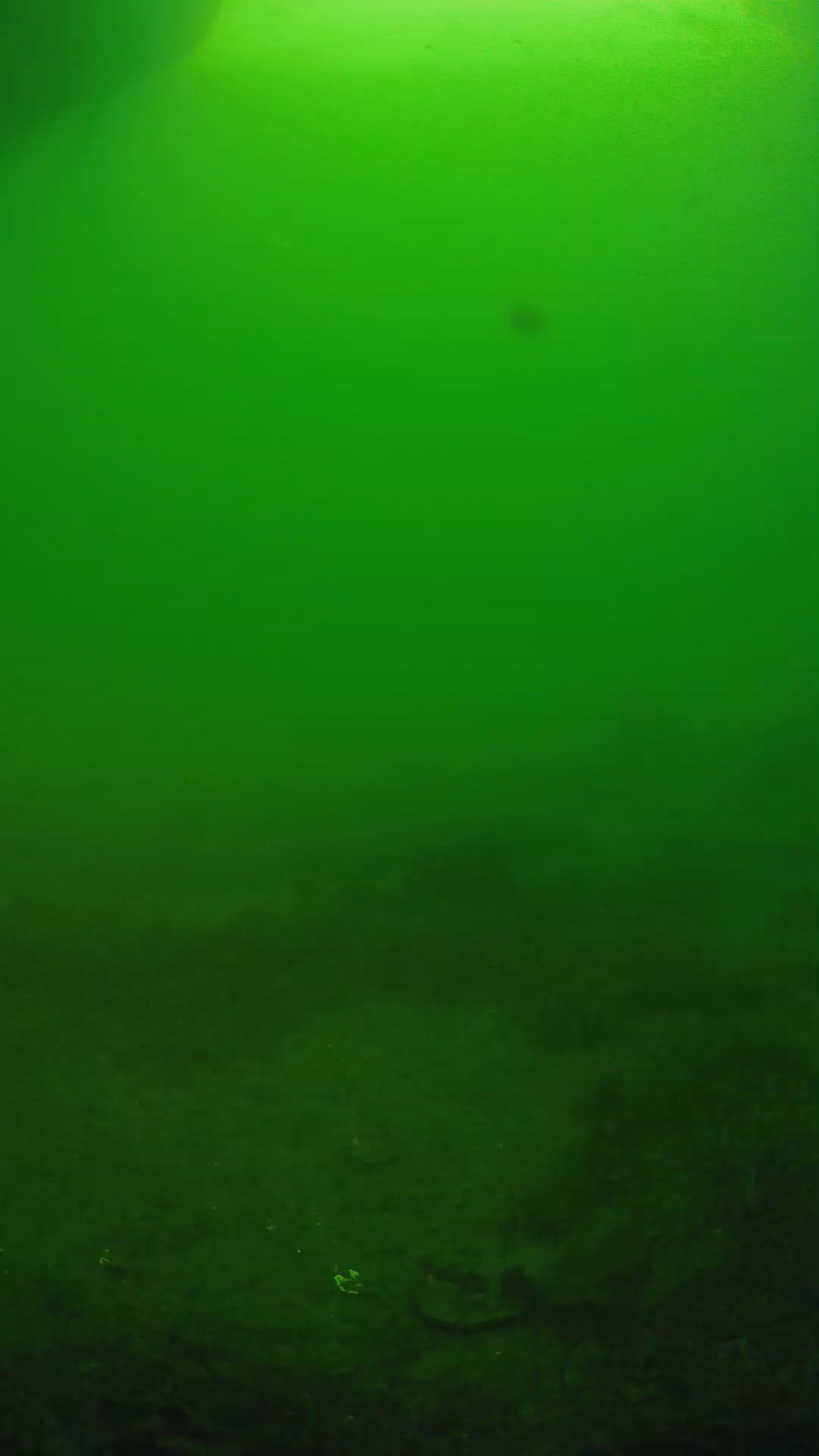 lander_ipcam_20250606064630.png