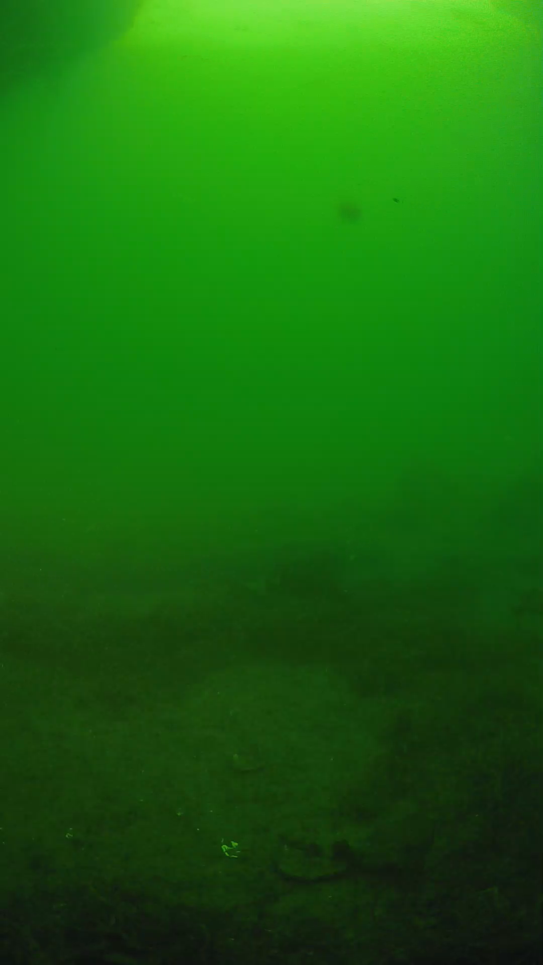 lander_ipcam_20250606064633.png