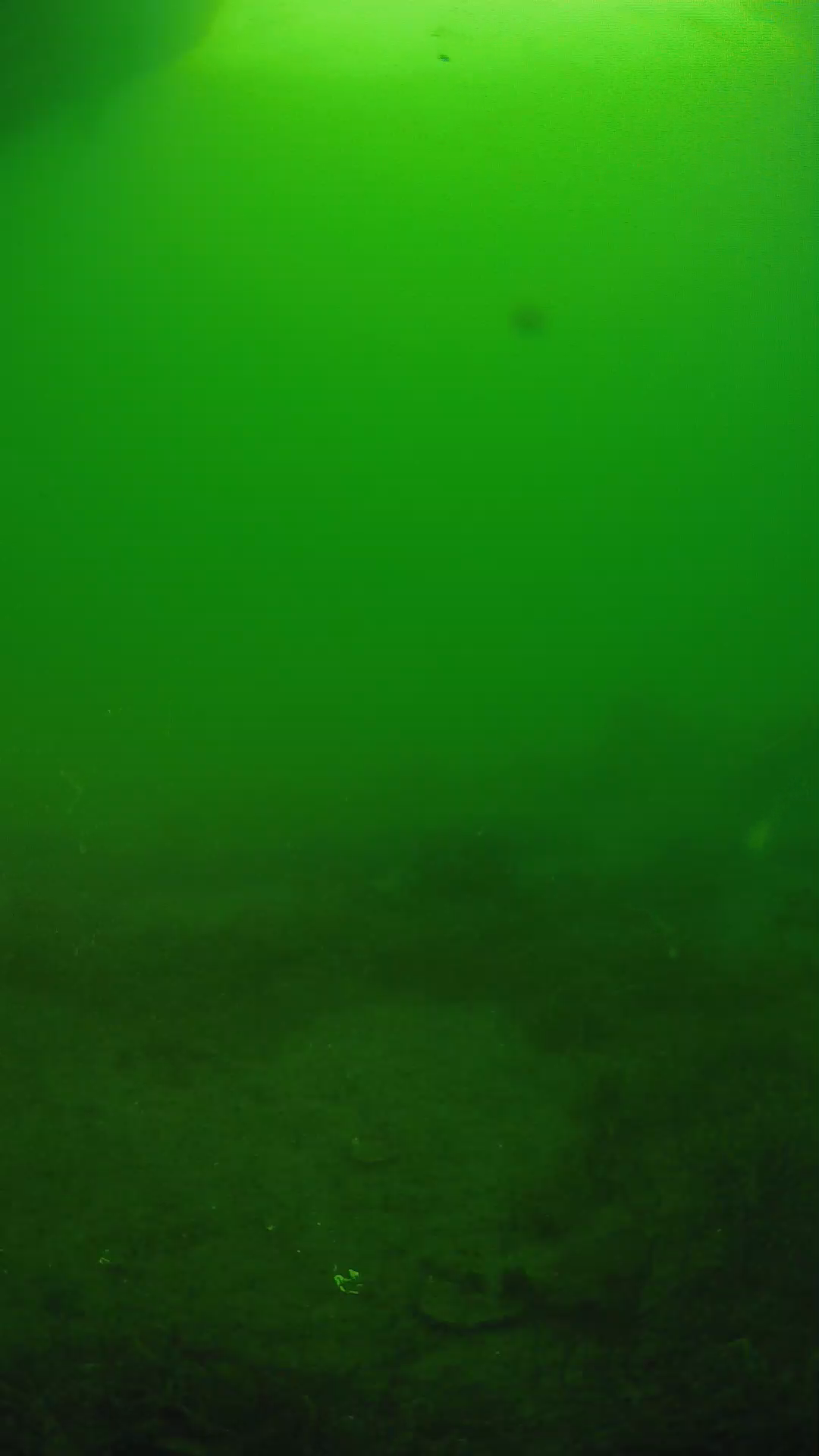 lander_ipcam_20250606064638.png