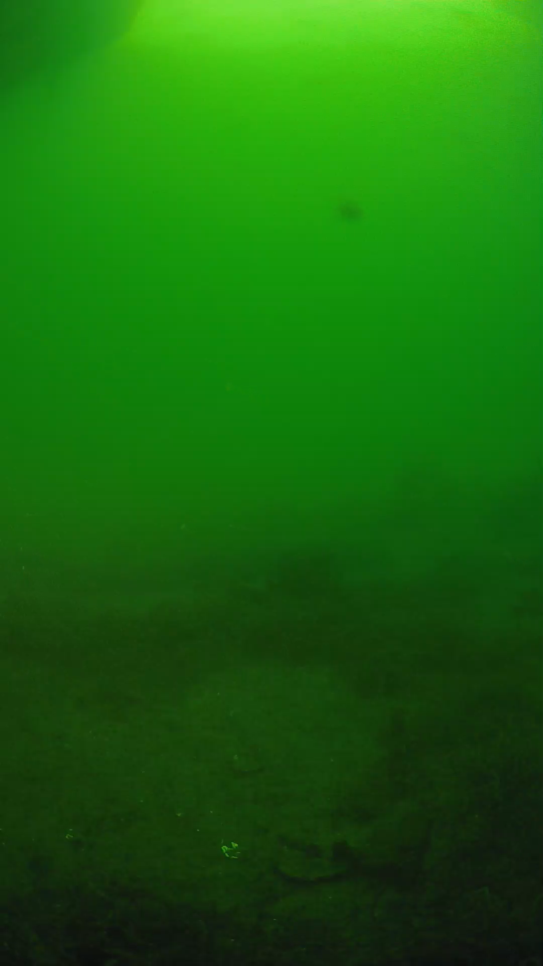 lander_ipcam_20250606064649.png