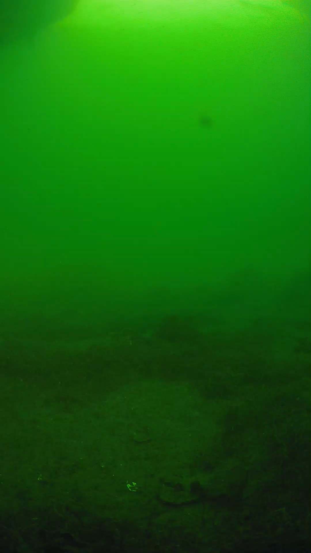lander_ipcam_20250606071623.png