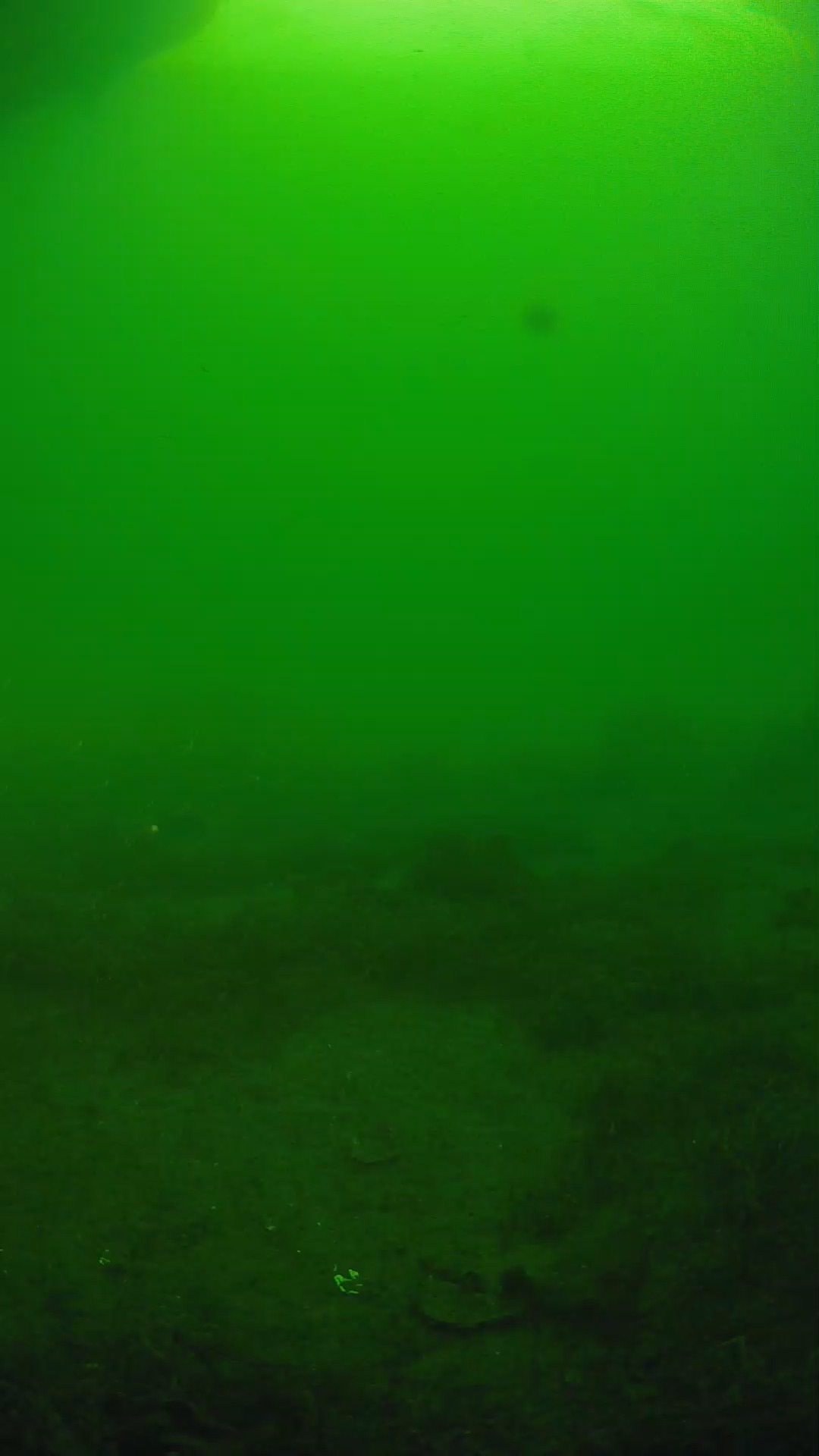 lander_ipcam_20250606071637.png