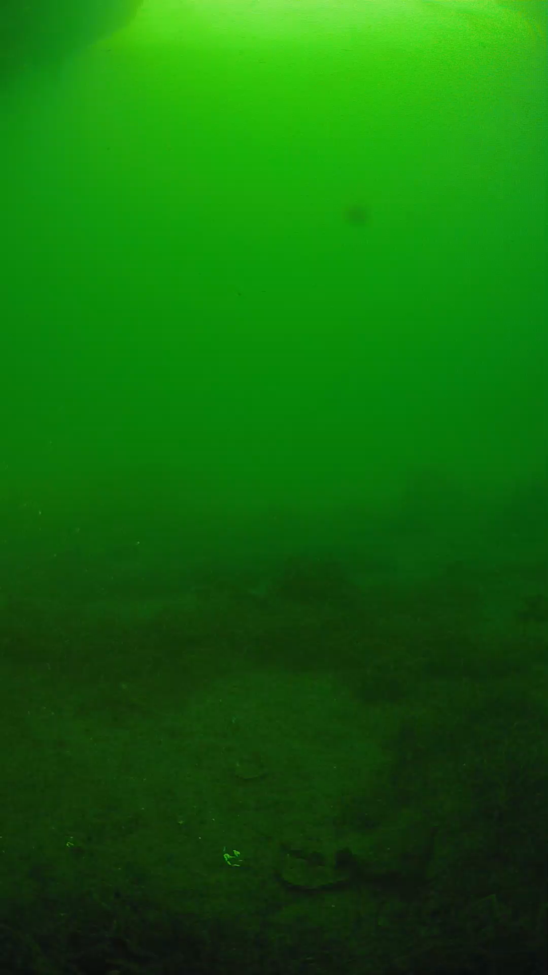 lander_ipcam_20250606071647.png