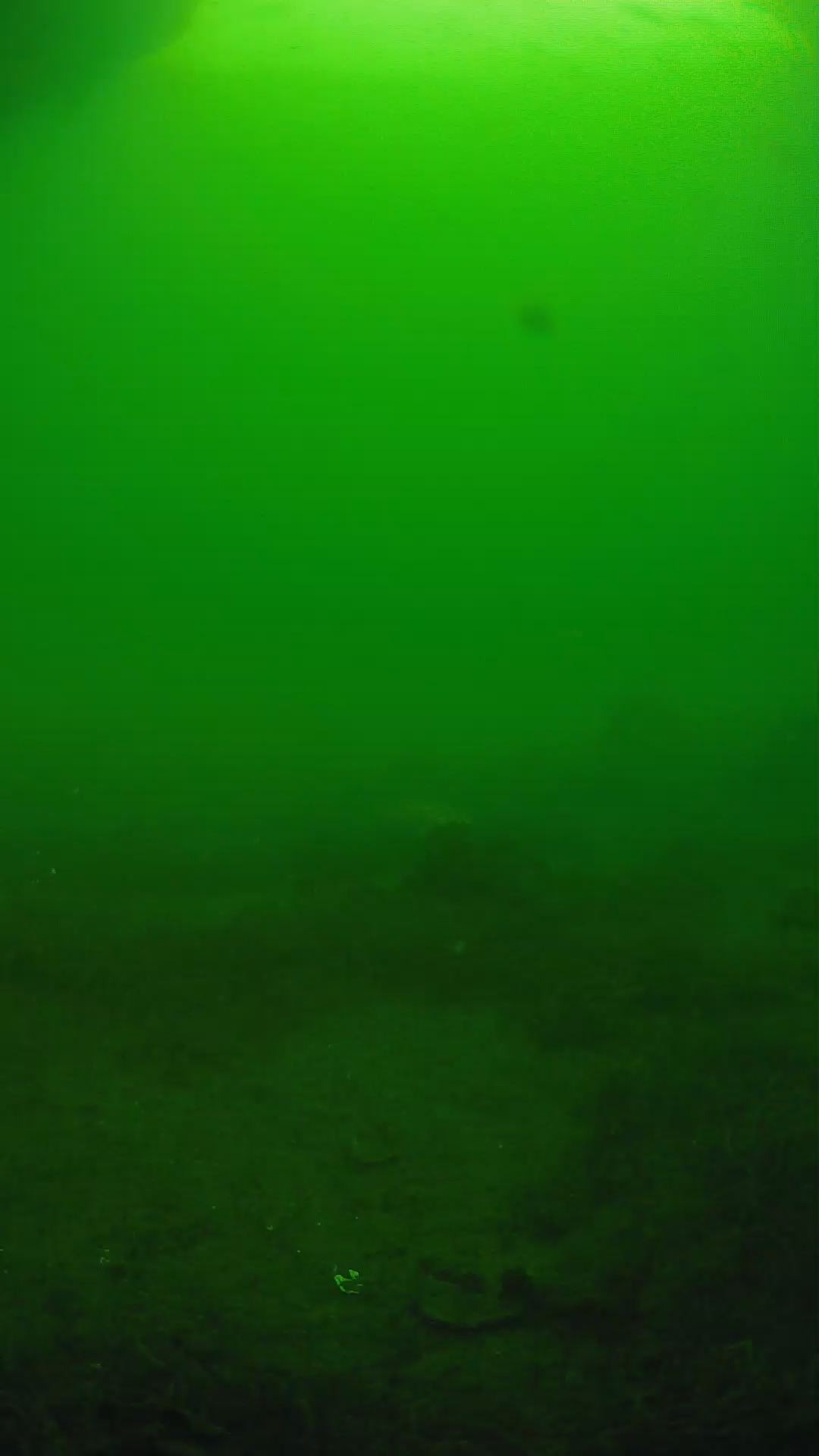 lander_ipcam_20250606073102.png