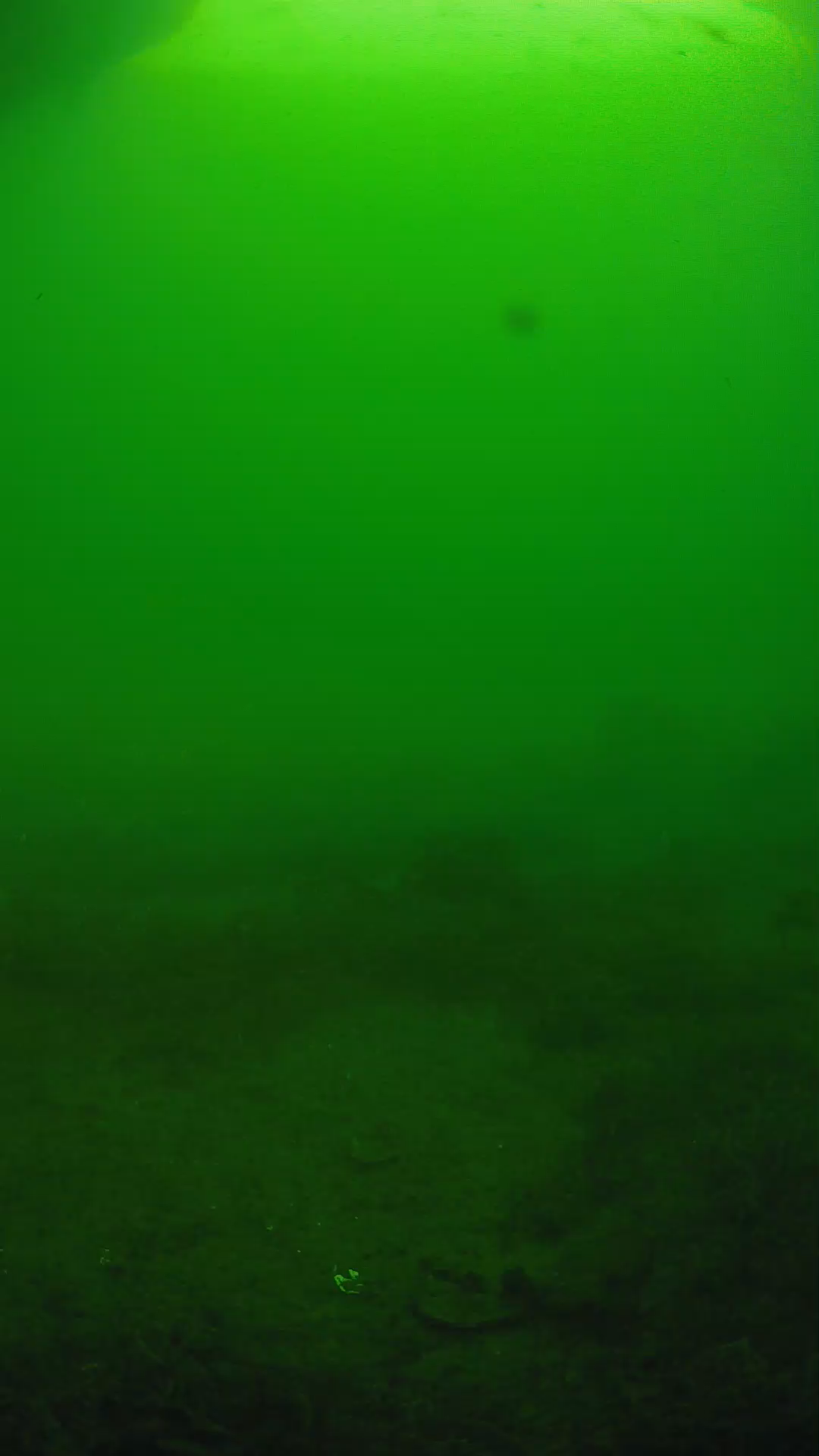 lander_ipcam_20250606073117.png