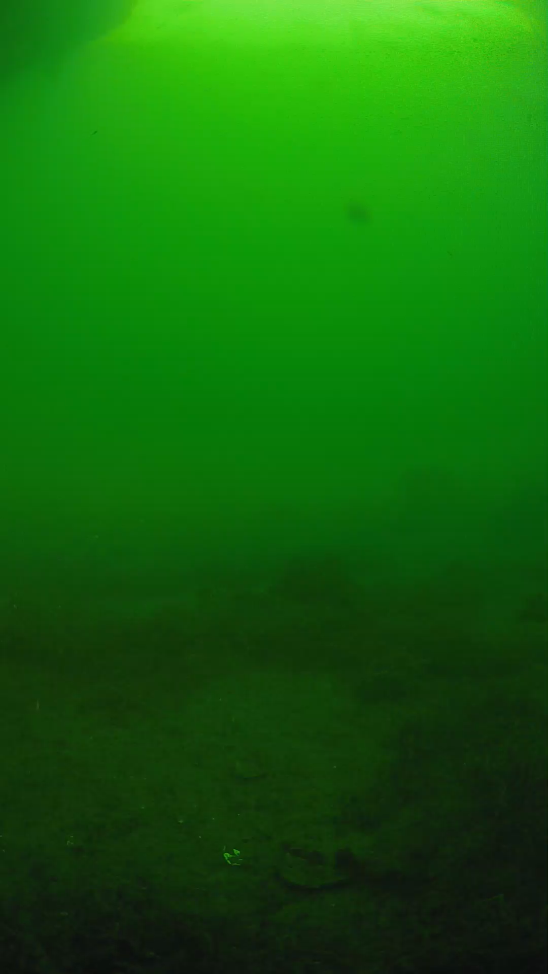 lander_ipcam_20250606073120.png