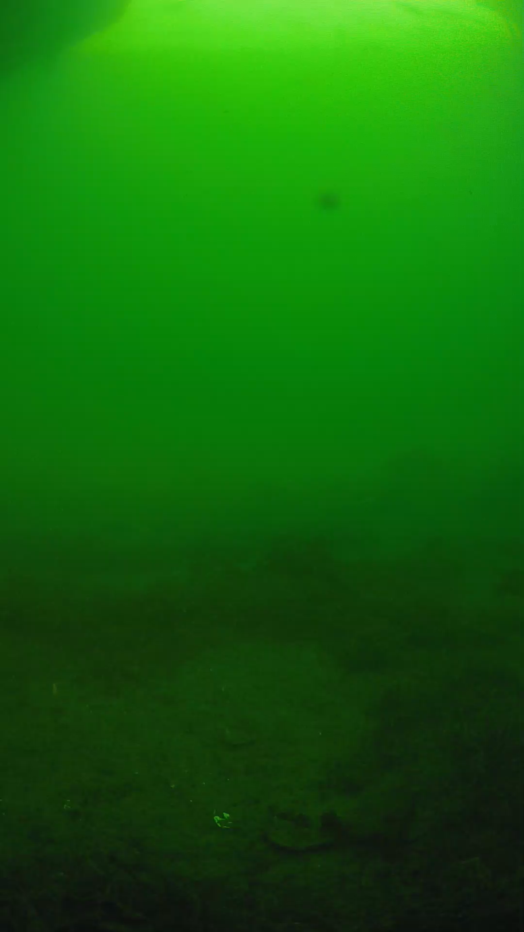 lander_ipcam_20250606073124.png