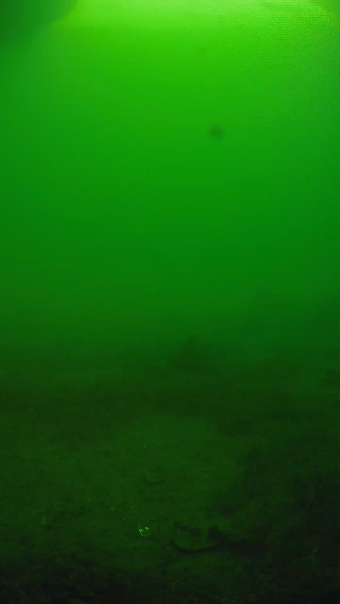 lander_ipcam_20250606073151.png
