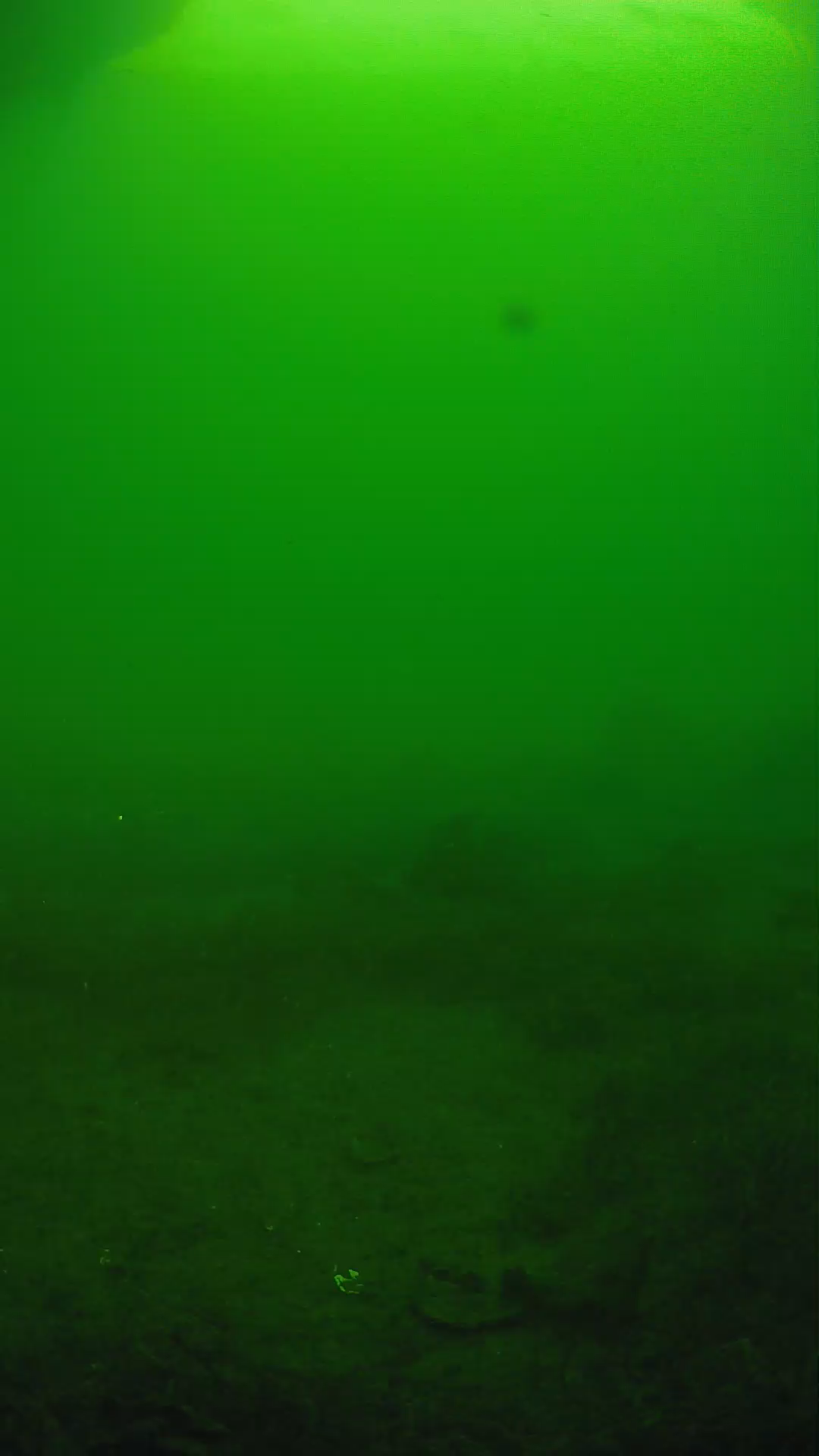 lander_ipcam_20250606073152.png