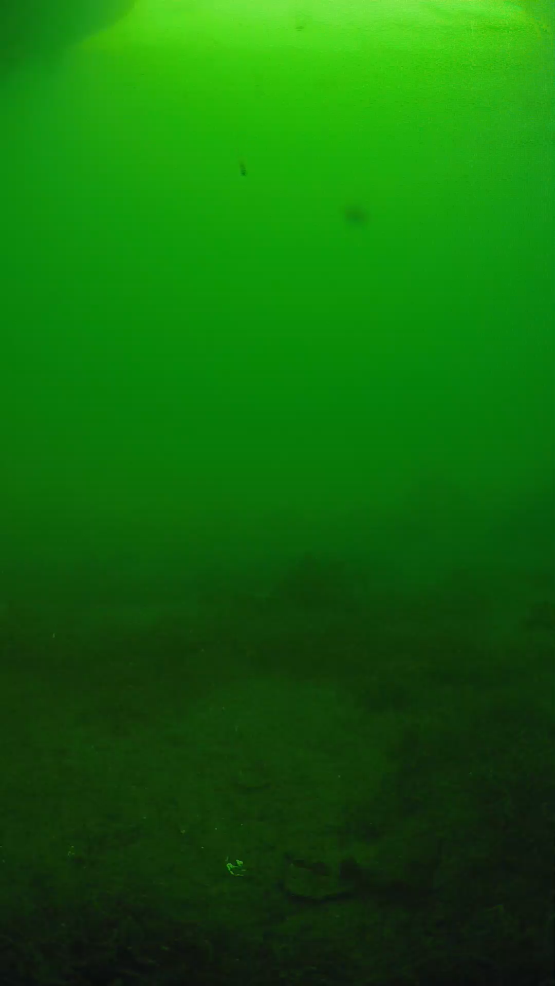 lander_ipcam_20250606073154.png