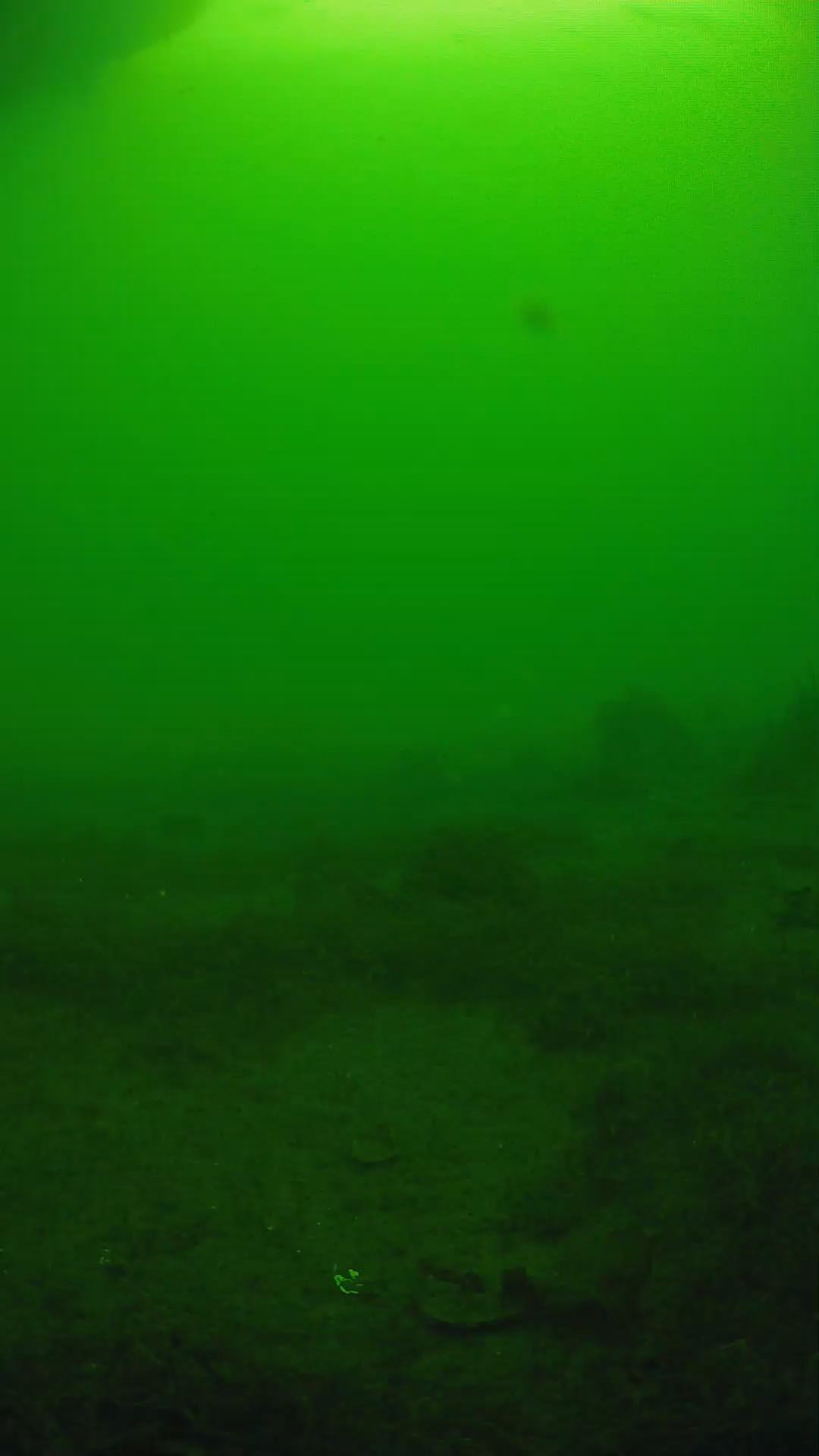 lander_ipcam_20250606074615.png