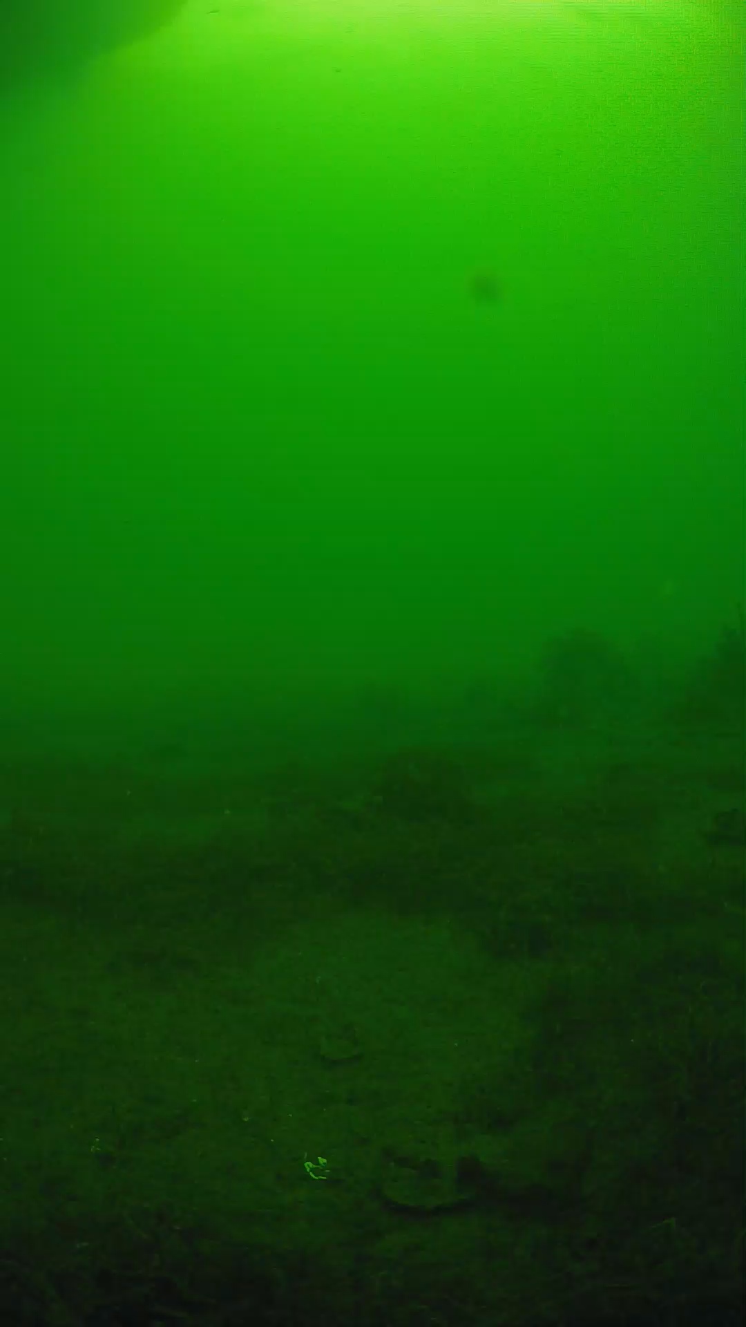 lander_ipcam_20250606074618.png