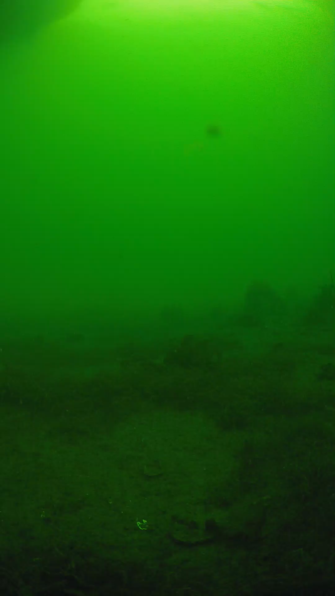 lander_ipcam_20250606074625.png