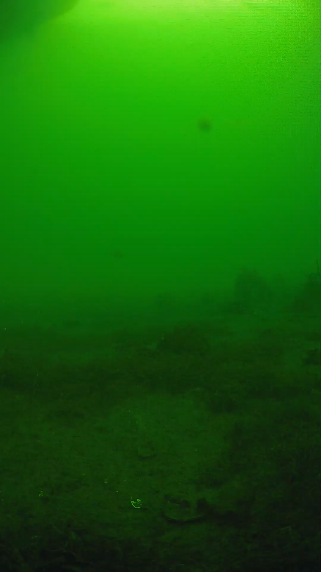 lander_ipcam_20250606074627.png