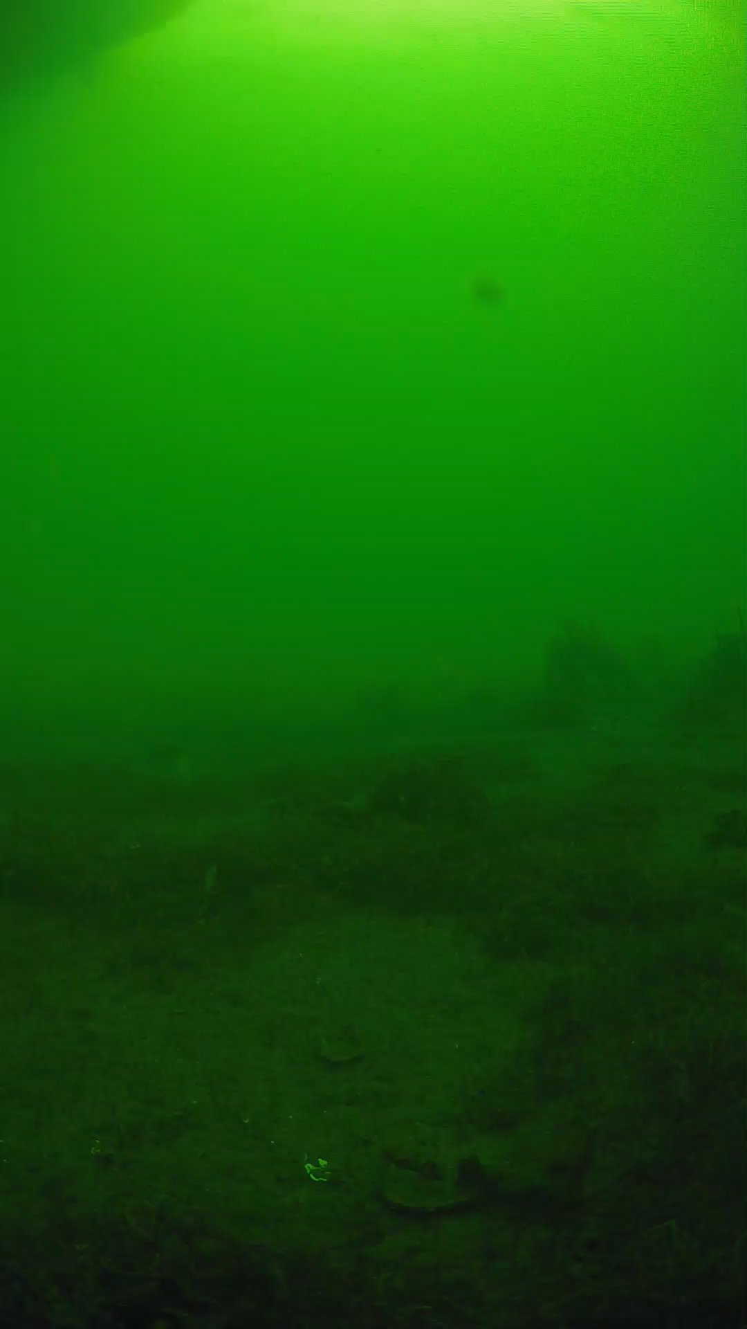 lander_ipcam_20250606074631.png