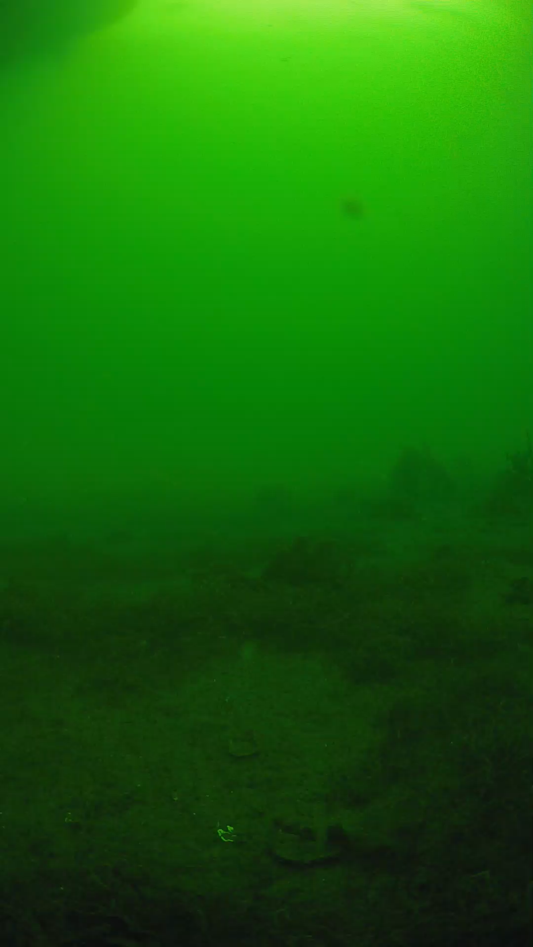 lander_ipcam_20250606074637.png