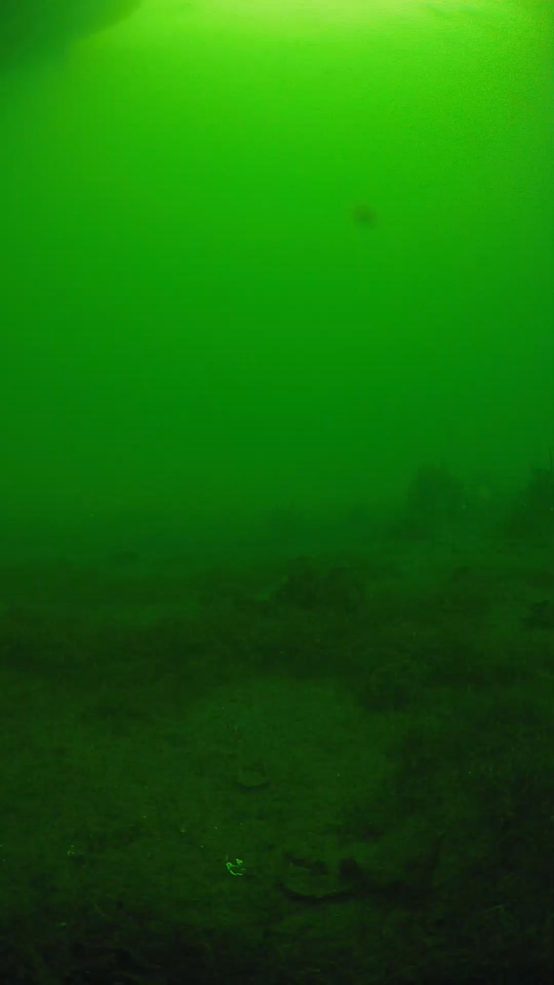 lander_ipcam_20250606074639.png