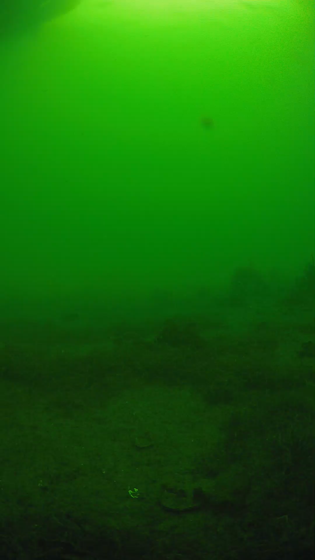 lander_ipcam_20250606074646.png