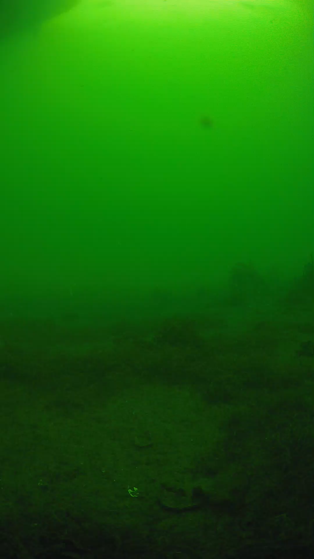 lander_ipcam_20250606074650.png