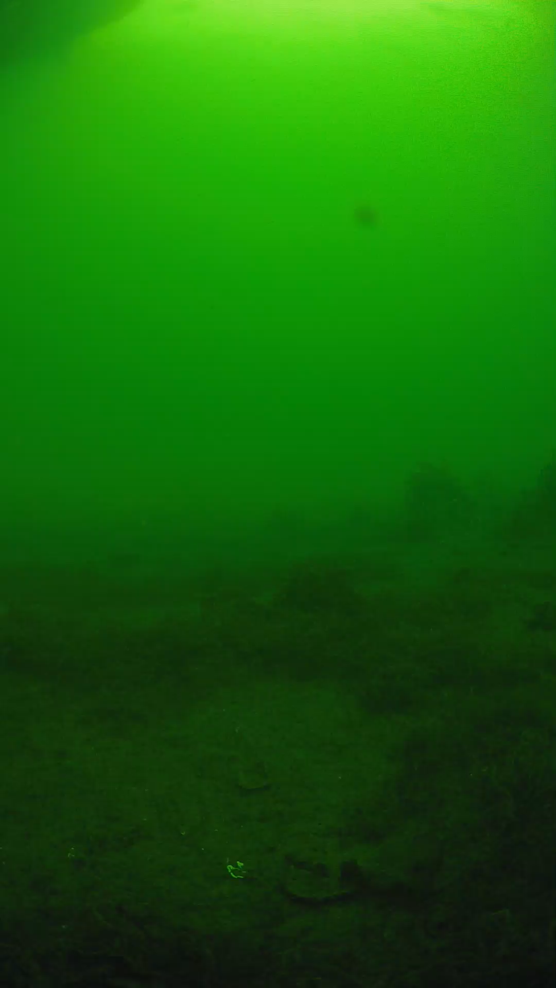 lander_ipcam_20250606074651.png