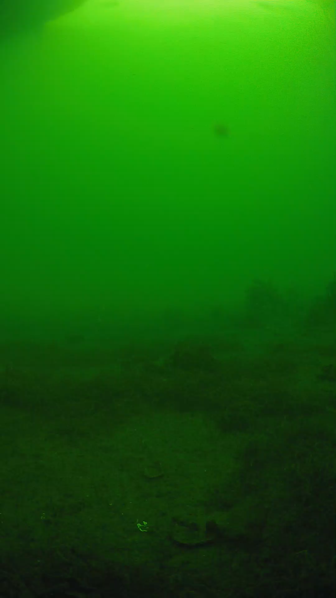 lander_ipcam_20250606074652.png