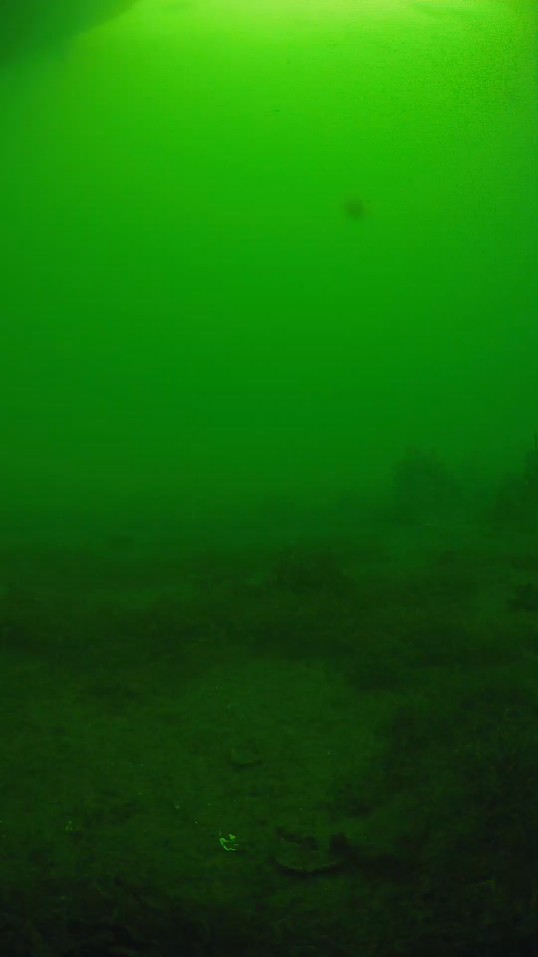 lander_ipcam_20250606074653.png