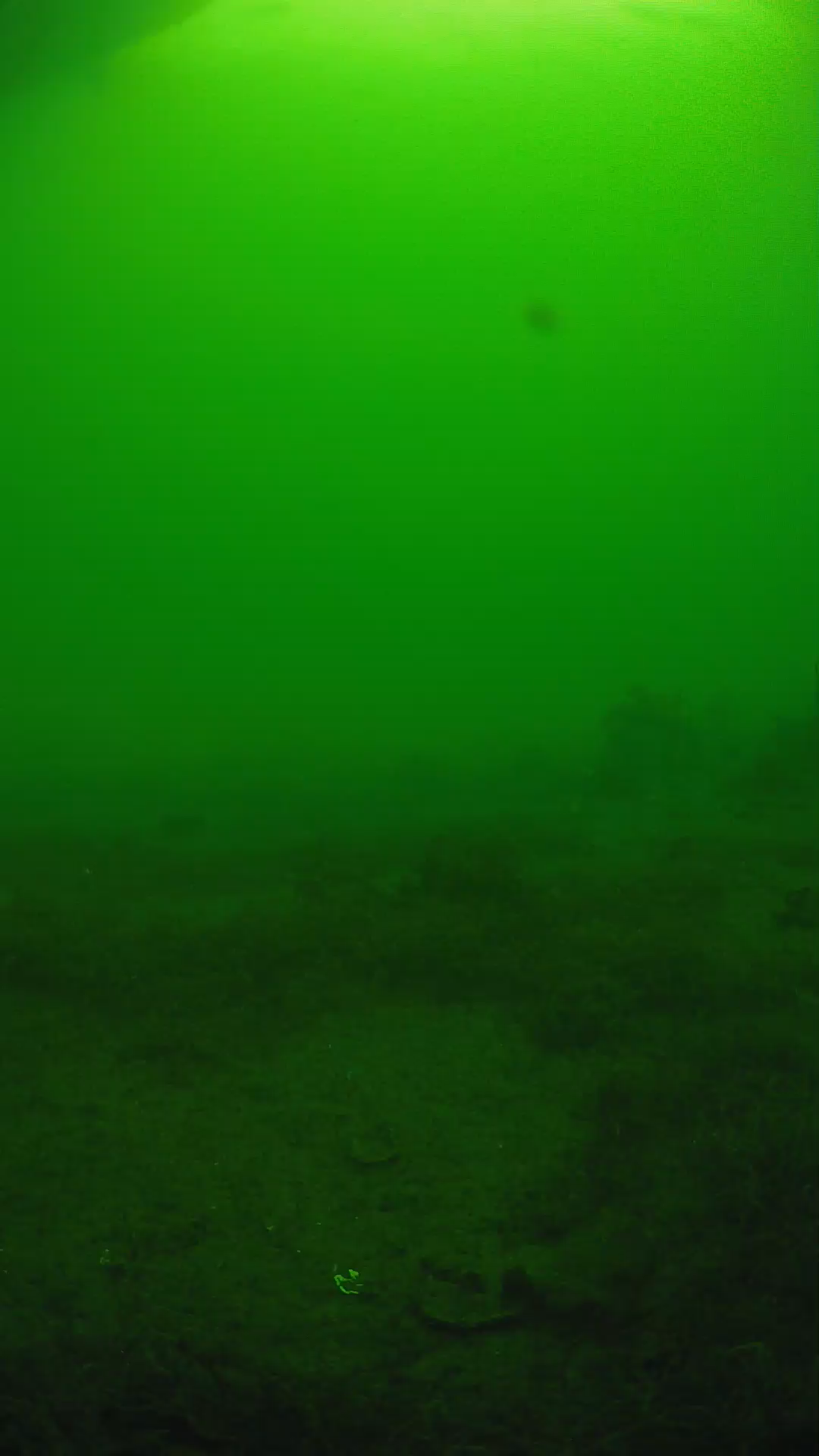 lander_ipcam_20250606074656.png