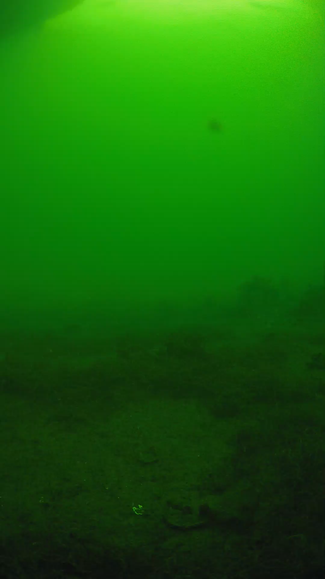lander_ipcam_20250606074657.png