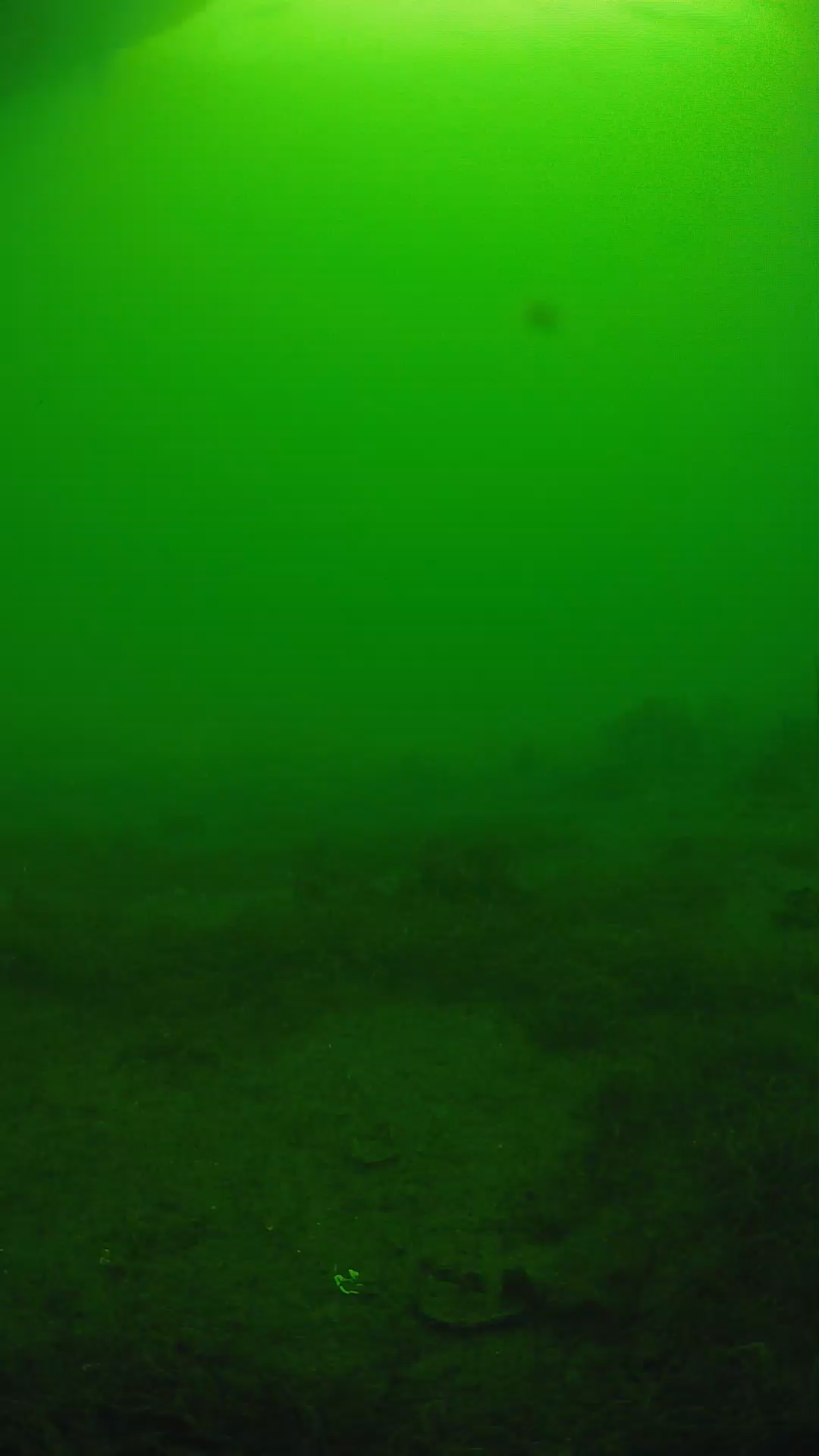 lander_ipcam_20250606074658.png