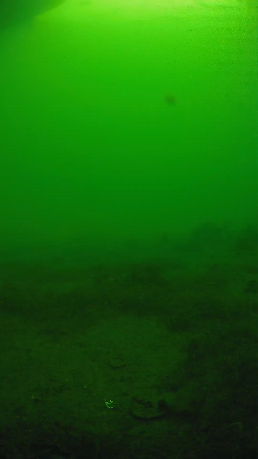 lander_ipcam_20250606074700.png