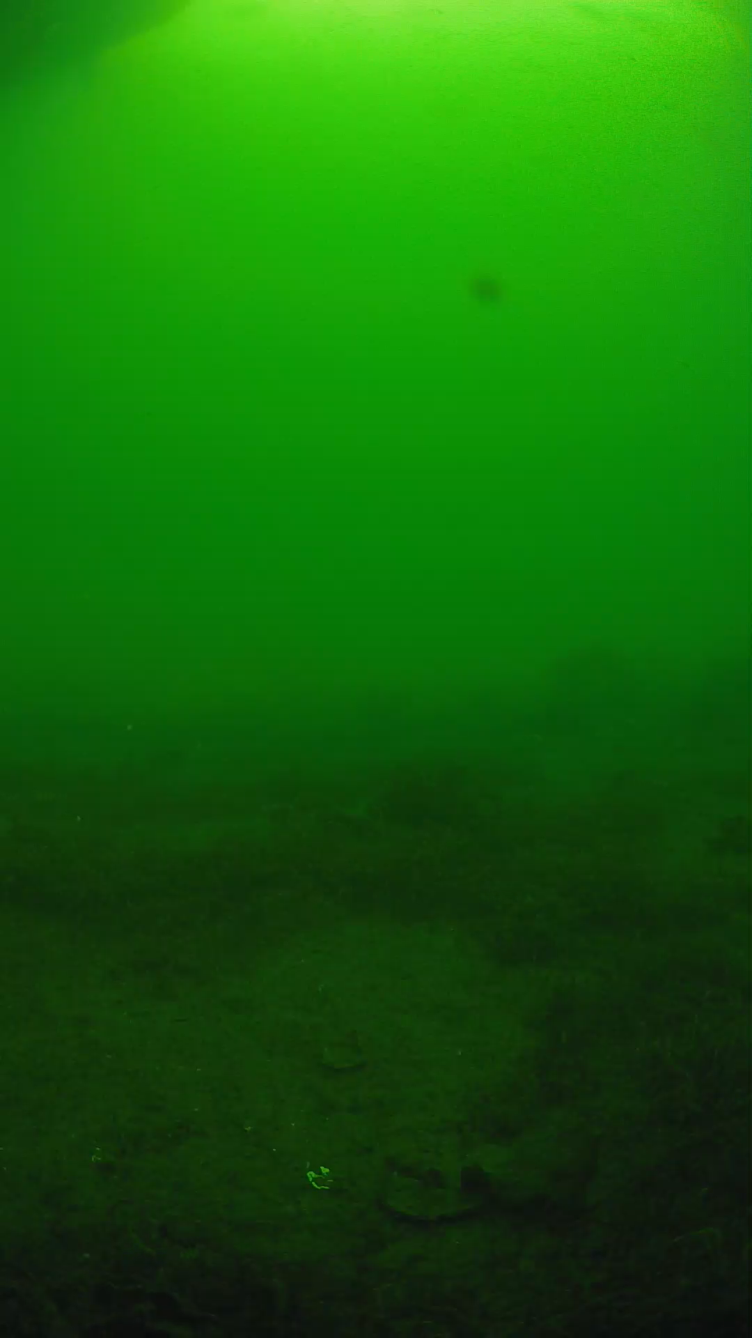 lander_ipcam_20250606080104.png
