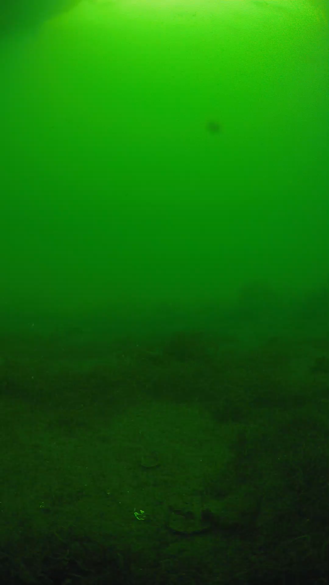 lander_ipcam_20250606080111.png