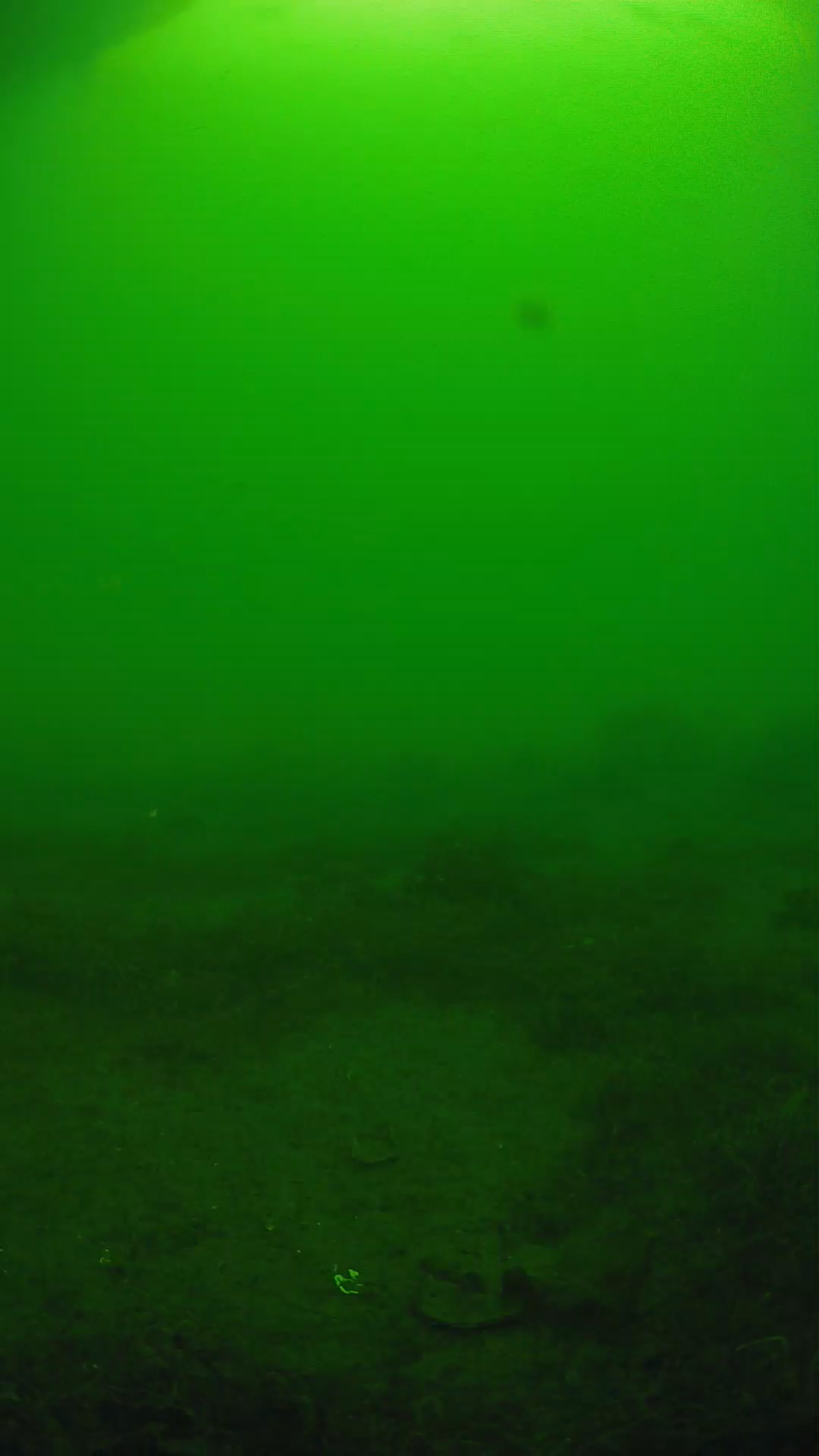 lander_ipcam_20250606080134.png