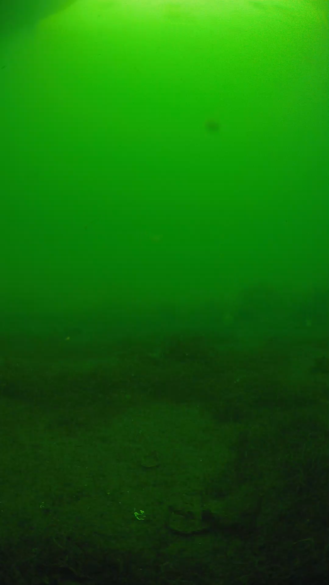 lander_ipcam_20250606080136.png