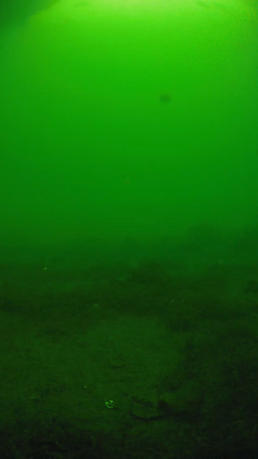 lander_ipcam_20250606080137.png
