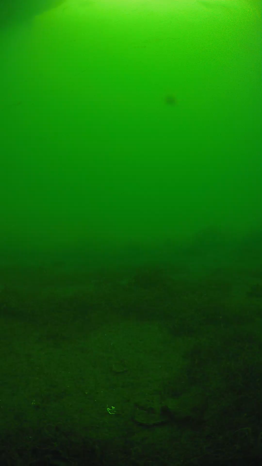 lander_ipcam_20250606080148.png
