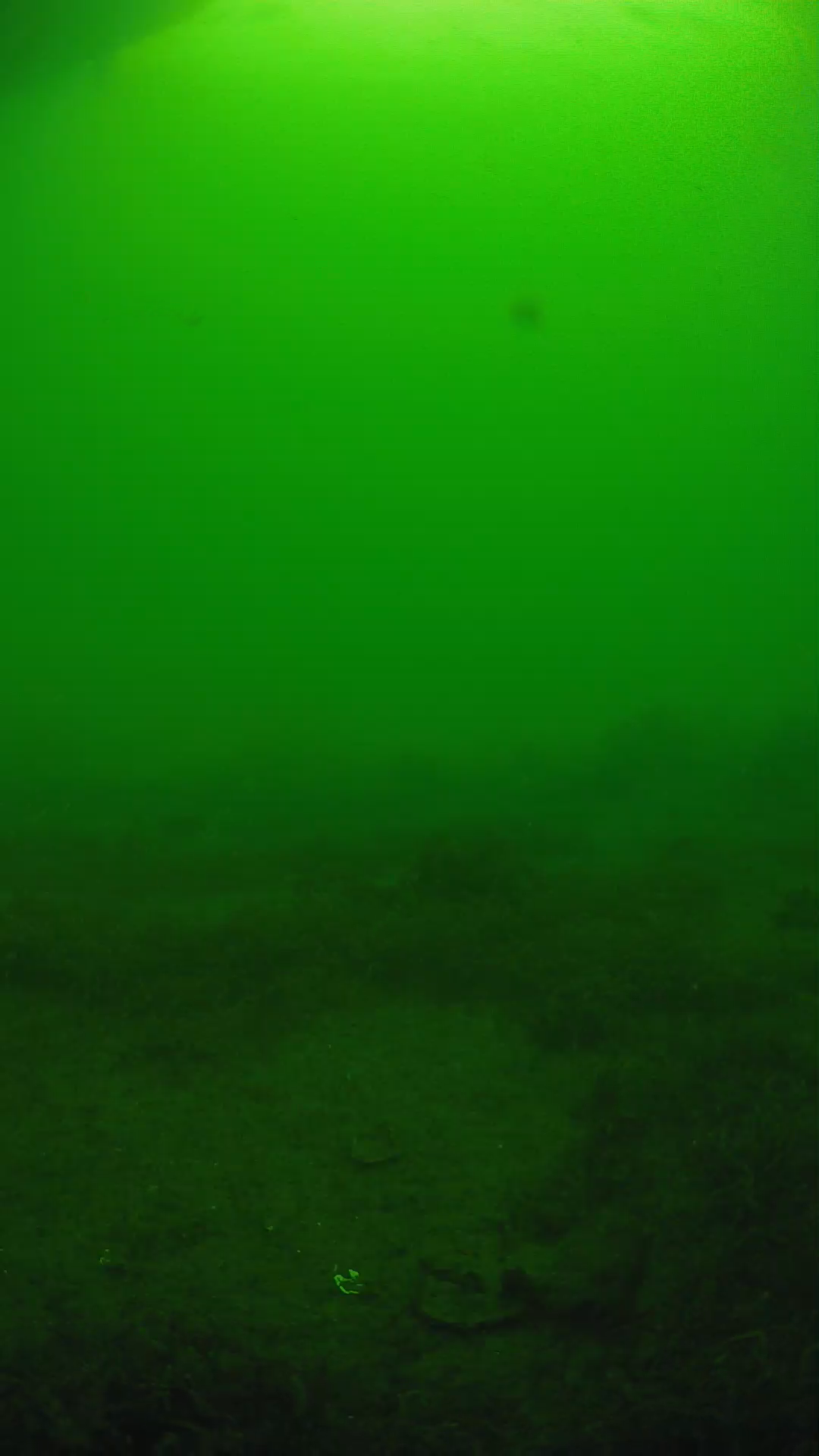 lander_ipcam_20250606080149.png