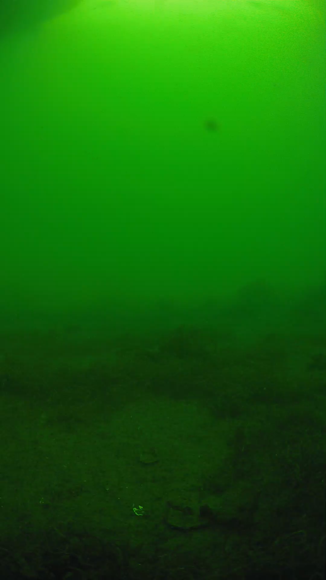 lander_ipcam_20250606080150.png