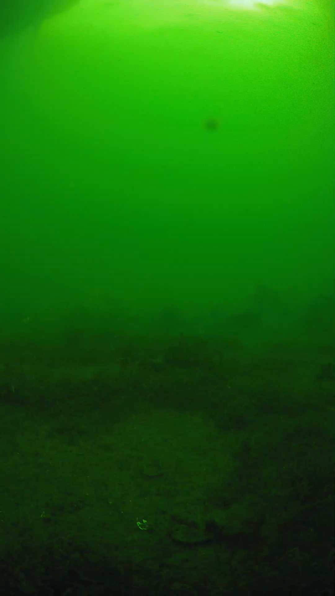 lander_ipcam_20250606081604.png