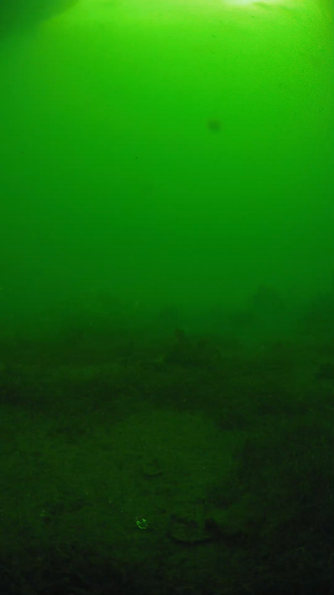 lander_ipcam_20250606081608.png