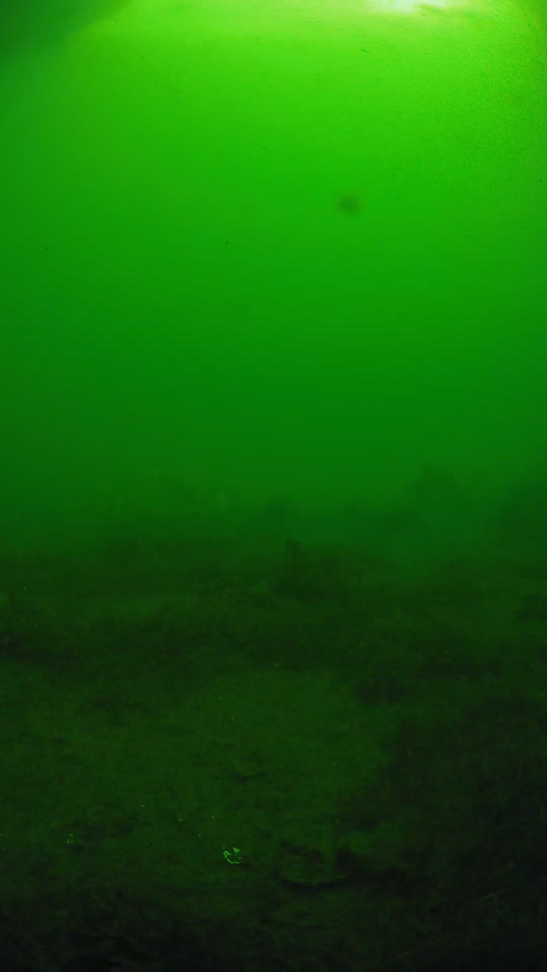 lander_ipcam_20250606081610.png