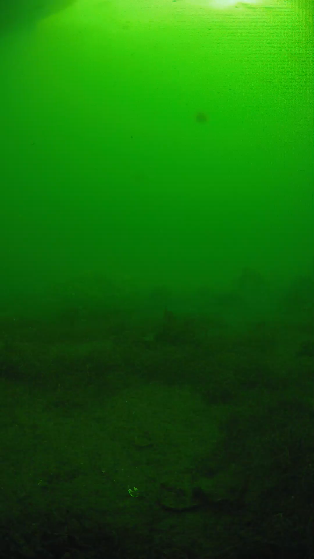 lander_ipcam_20250606081611.png