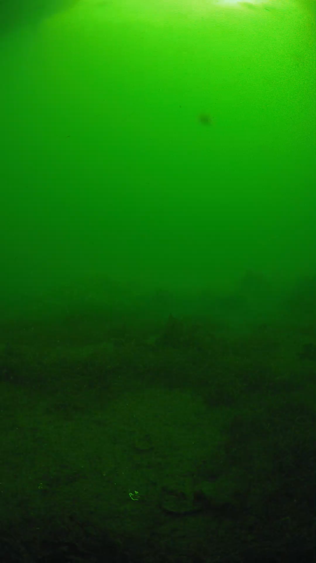 lander_ipcam_20250606081615.png