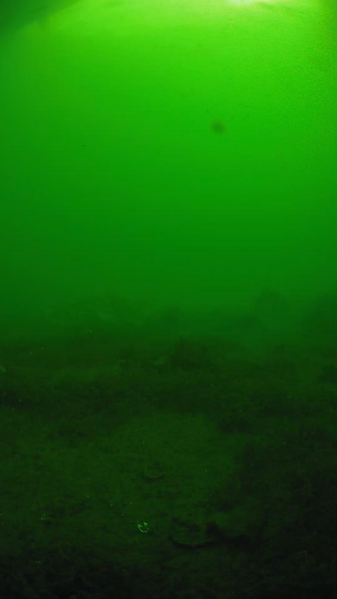 lander_ipcam_20250606081616.png