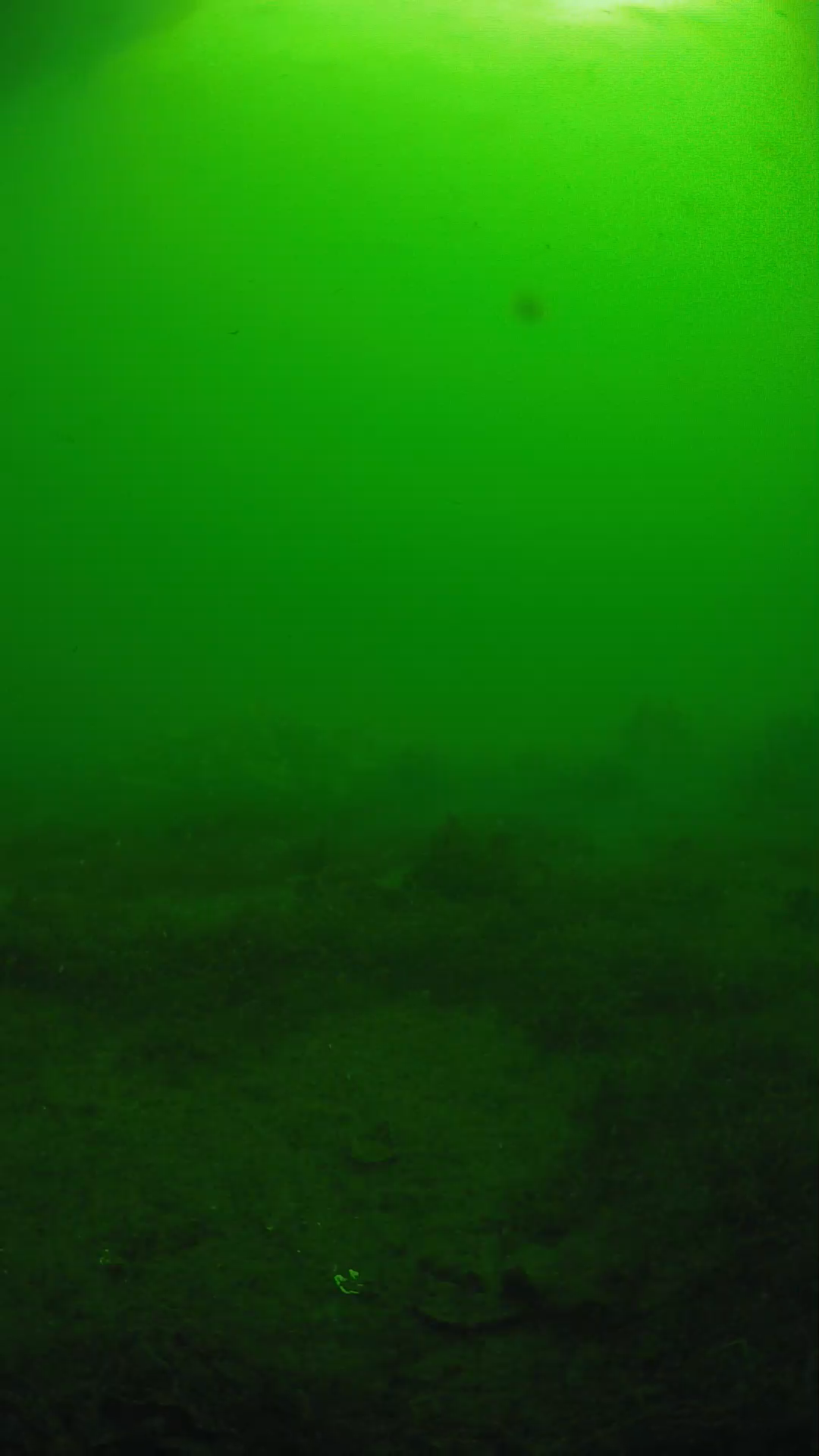lander_ipcam_20250606081617.png