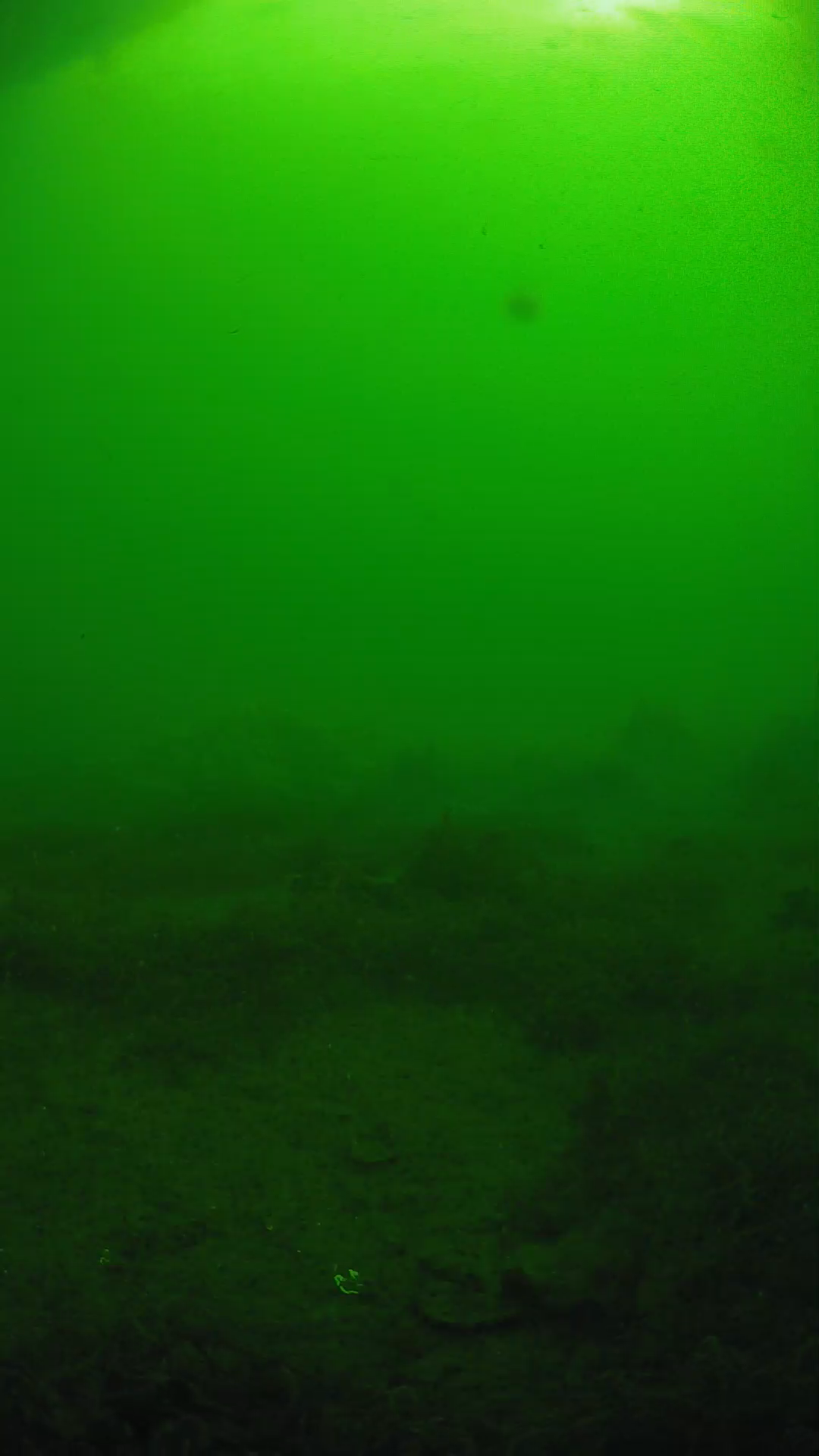 lander_ipcam_20250606081618.png